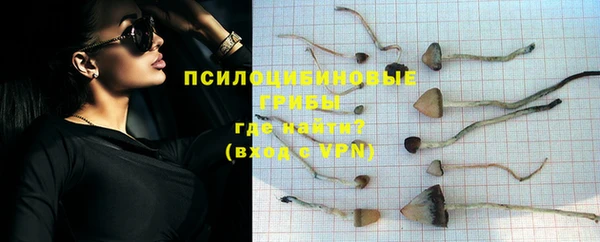 дурь Новодвинск