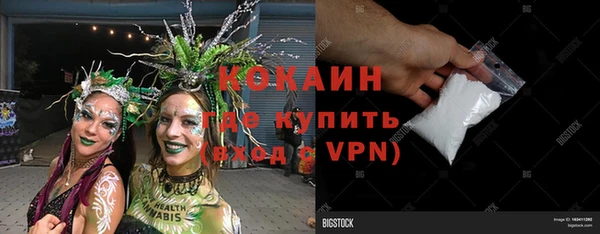 прущие крисы Новозыбков