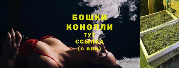 прущие крисы Новозыбков