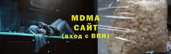 дживик Няндома
