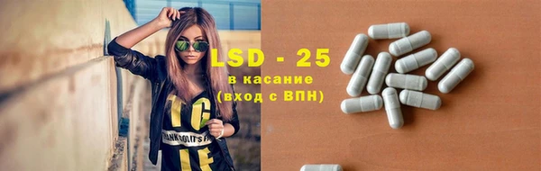 прущие крисы Новозыбков