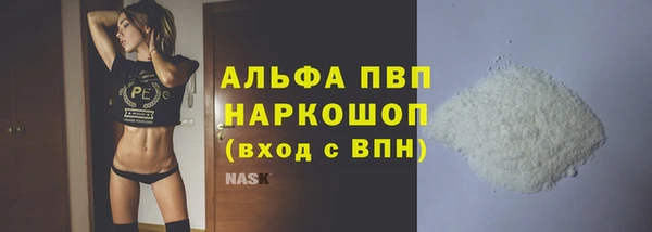 дживик Няндома