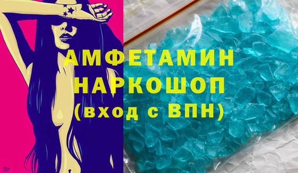 дживик Няндома