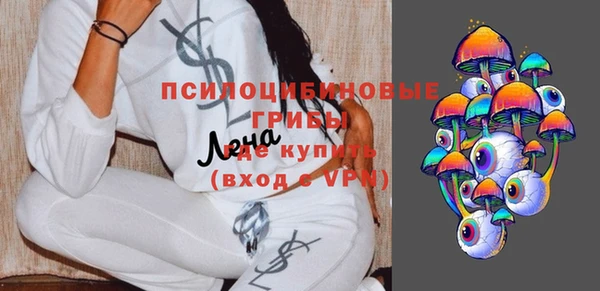 прущие крисы Новозыбков