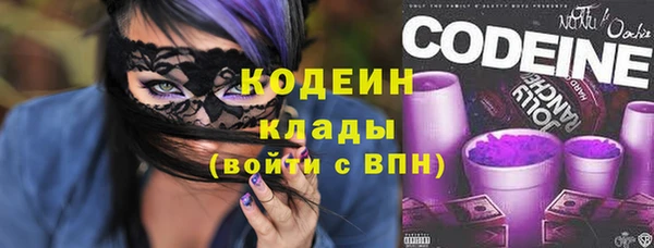 дурь Новодвинск