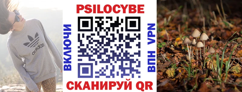 Галлюциногенные грибы Psilocybine cubensis  blacksprut tor  Тобольск 