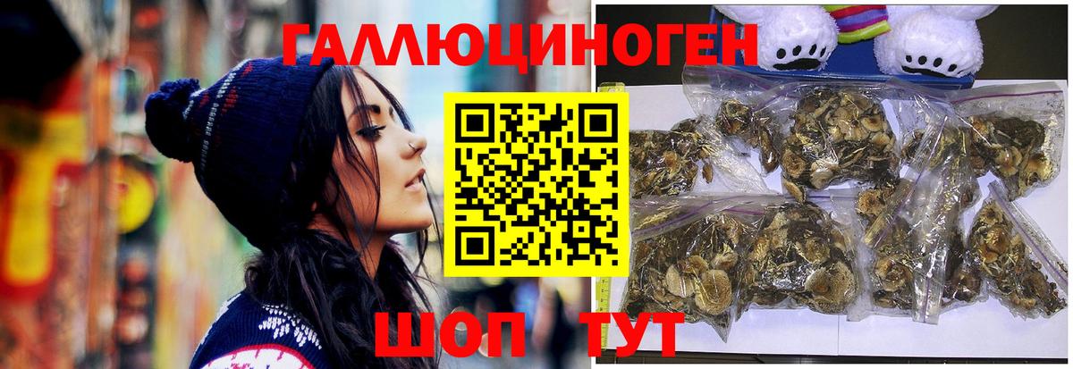 Тобольск  Галлюциногенные грибы GOLDEN TEACHER  Вход с VPN 